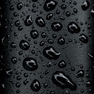 Meet your Posher, Gloria